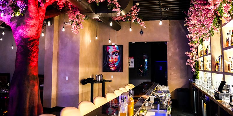 Coca Bar & Lounge Blog - Your Guide to Elevated Dining and Nightlife on Long Island