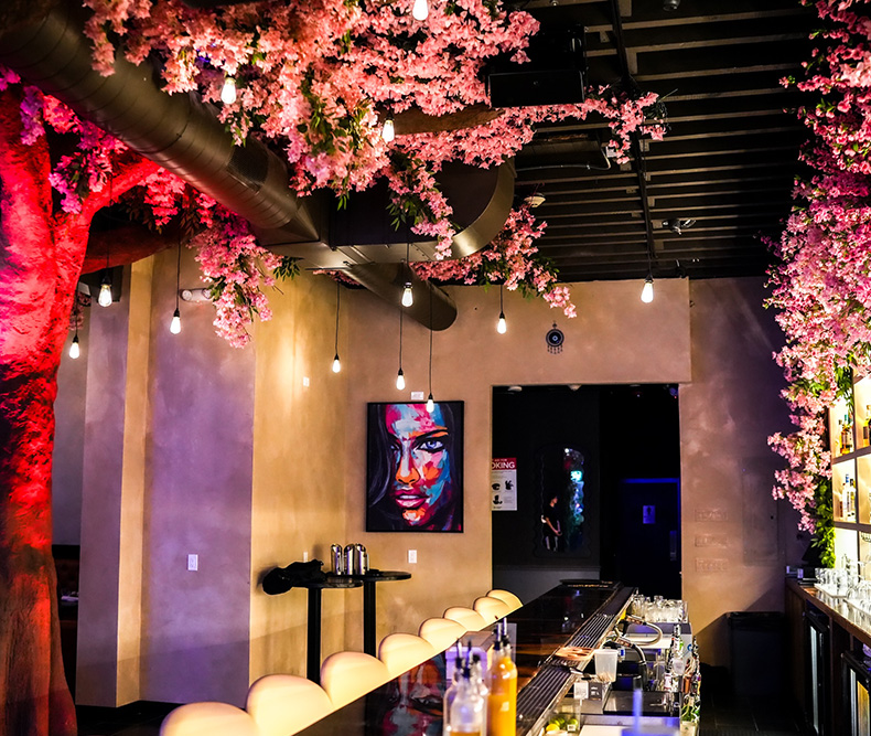 Interior bar and lounge seating area with pink floral ceiling decor at Coca Lounge in Westbury NY